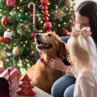 Dog-Friendly