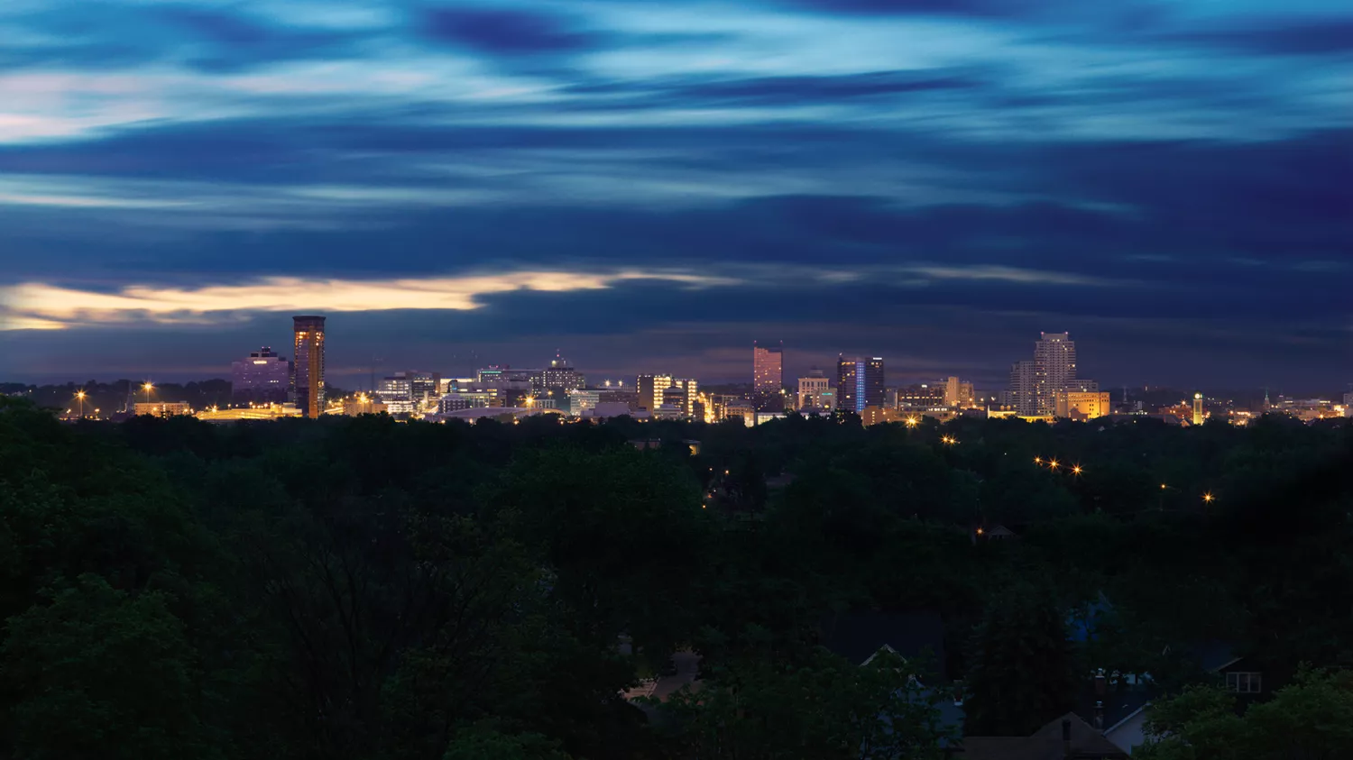 Grand Rapids_Skyline_Night_Trees_Buildings_Wide Angle
