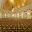 Amway Grand_Pantlind Ballroom_Ballroom_Meeting Room_Event Space_Empty_Chandelier_Mirrors_Gold Ceiling