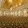 Amway Grand_Pantlind Ballroom_Ballroom_Meeting Room_Event Space_Empty_Chandelier_Mirrors_Gold Ceiling