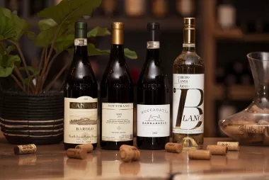 Wine Bottle from Piedmont, Italy