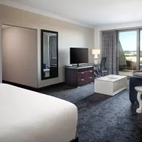 Junior Suite Tower